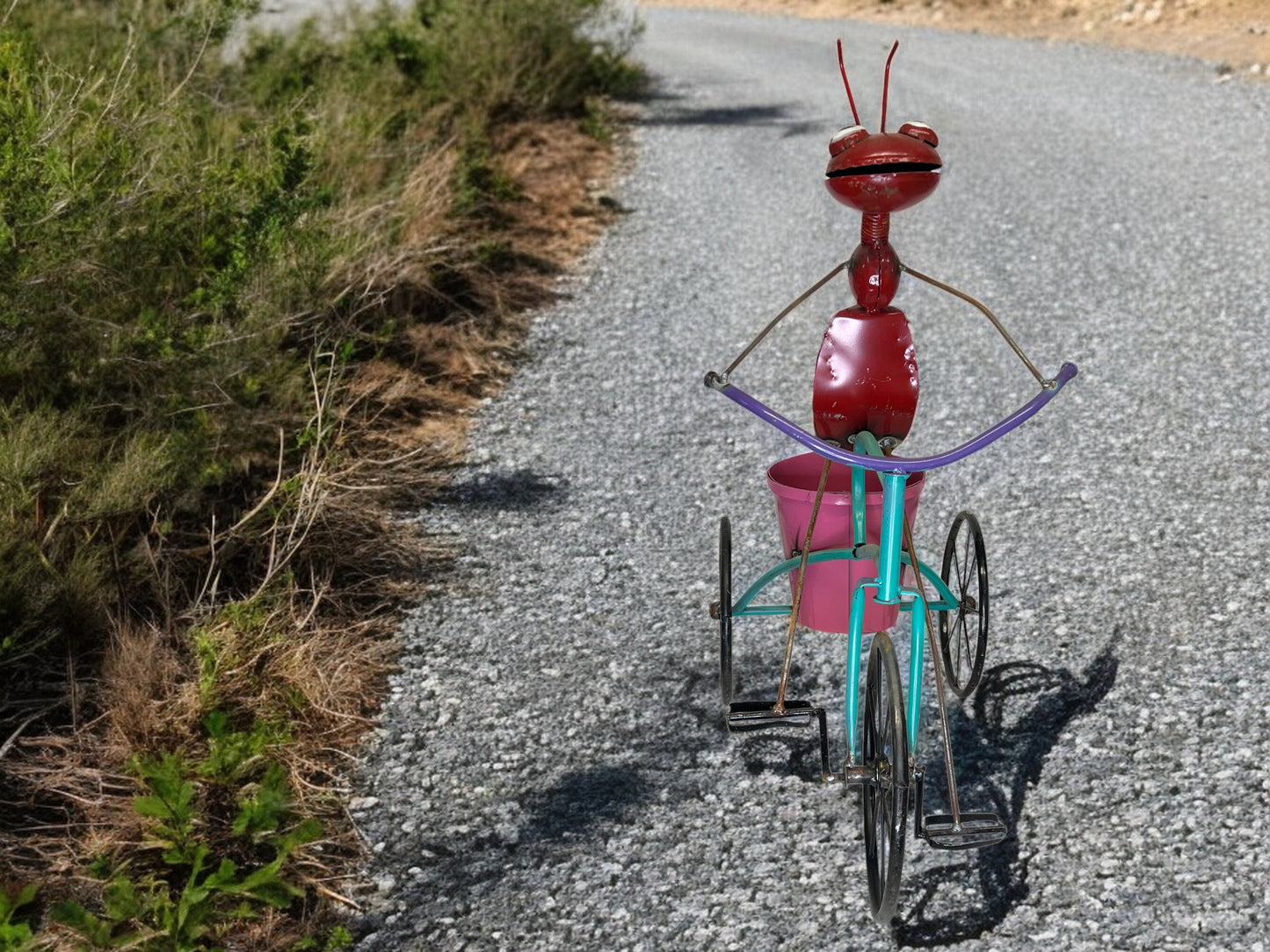 Metal Ant Riding Tricycle Plant Stand
